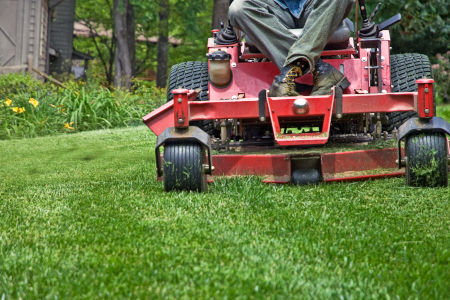 Lawn Mowing Thumbnail